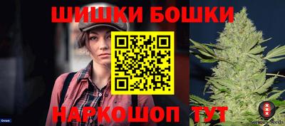 прущие крисы Новозыбков