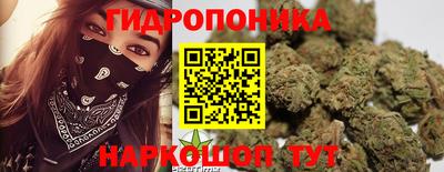 прущие крисы Новозыбков