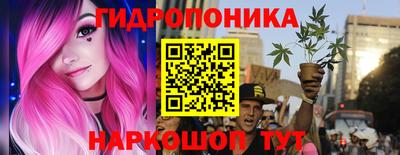 прущие крисы Новозыбков