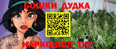 прущие крисы Новозыбков