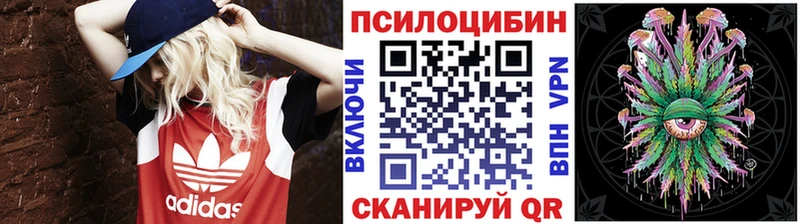 Псилоцибиновые грибы MAGIC MUSHROOMS  наркота  Череповец 