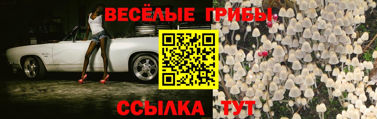 Псилоцибиновые грибы Cubensis  Вход с VPN  Череповец 